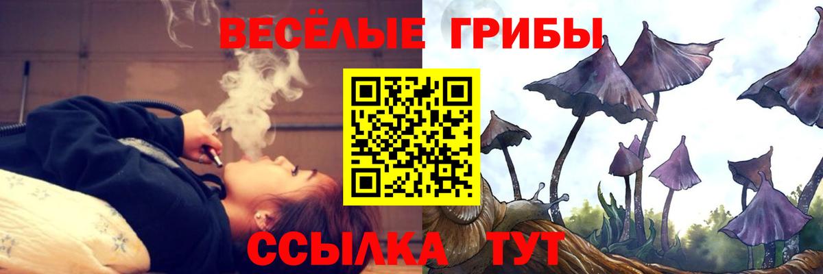 Галлюциногенные грибы прущие грибы Углич